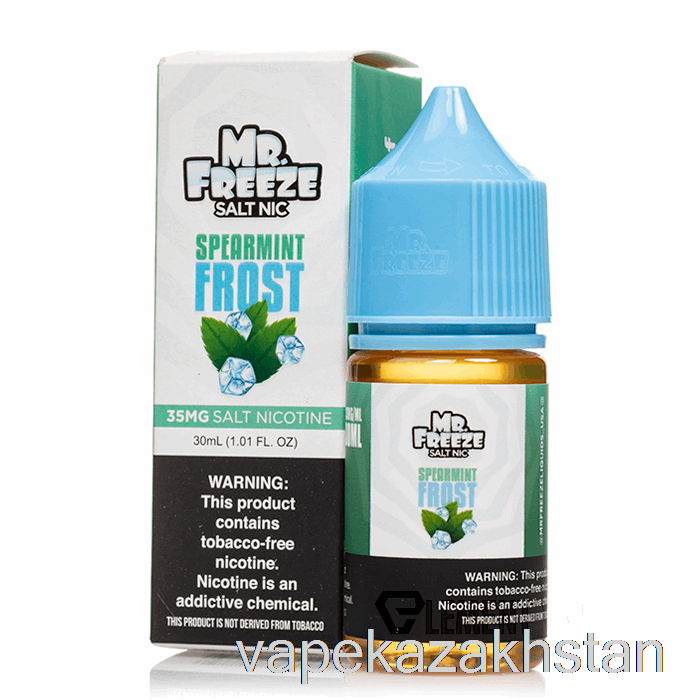 Vape Disposable Spearmint Frost - Mr Freeze Salts - 30mL 50mg